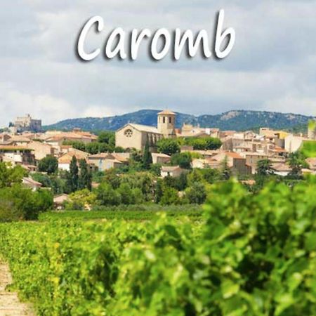 Belle Maison Provencale Au Pied Du Mont Ventoux Caromb Esterno foto