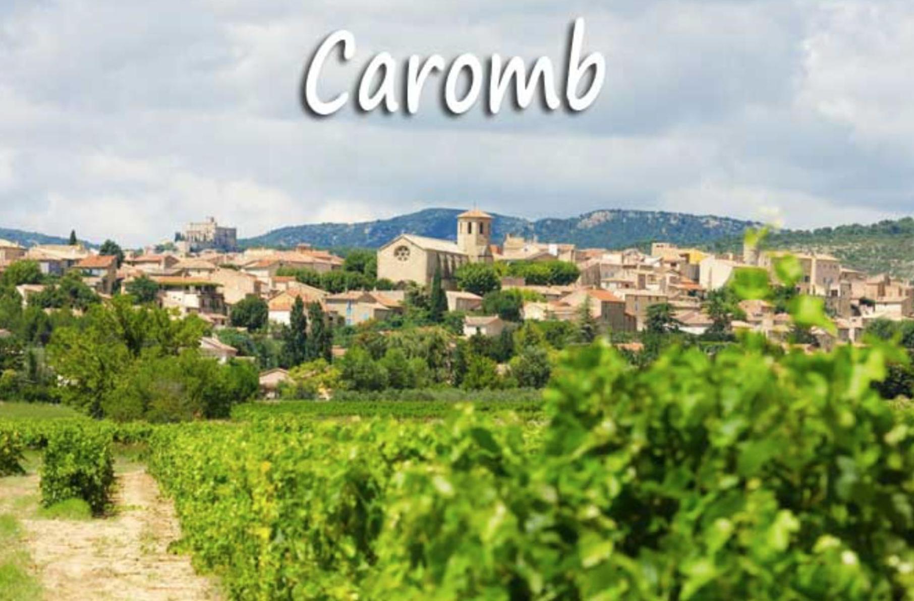 Belle Maison Provencale Au Pied Du Mont Ventoux Caromb Esterno foto